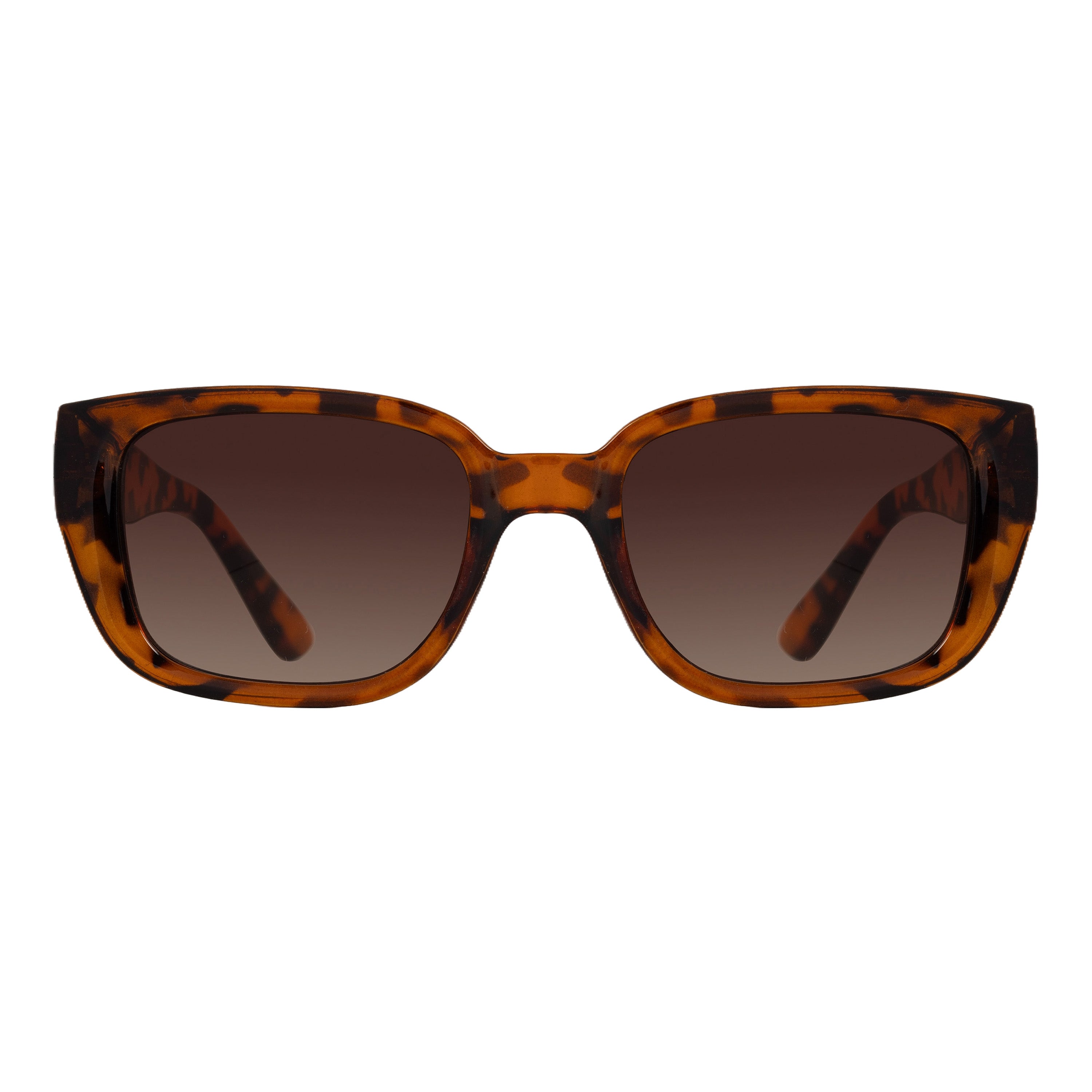 Oyster Wayfarer Sunglasses (UV 400 Protection)