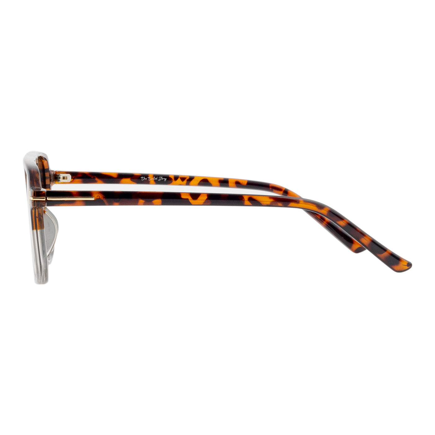 Dylan Full Rim Sunglasses (UV 400 Protection)