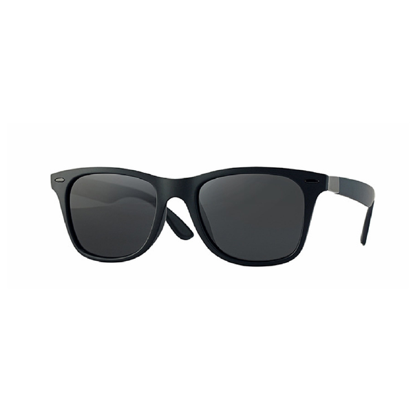 Wayfarer grandes 2024