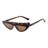 Zenith Sunglasses (UV 400 Protection)